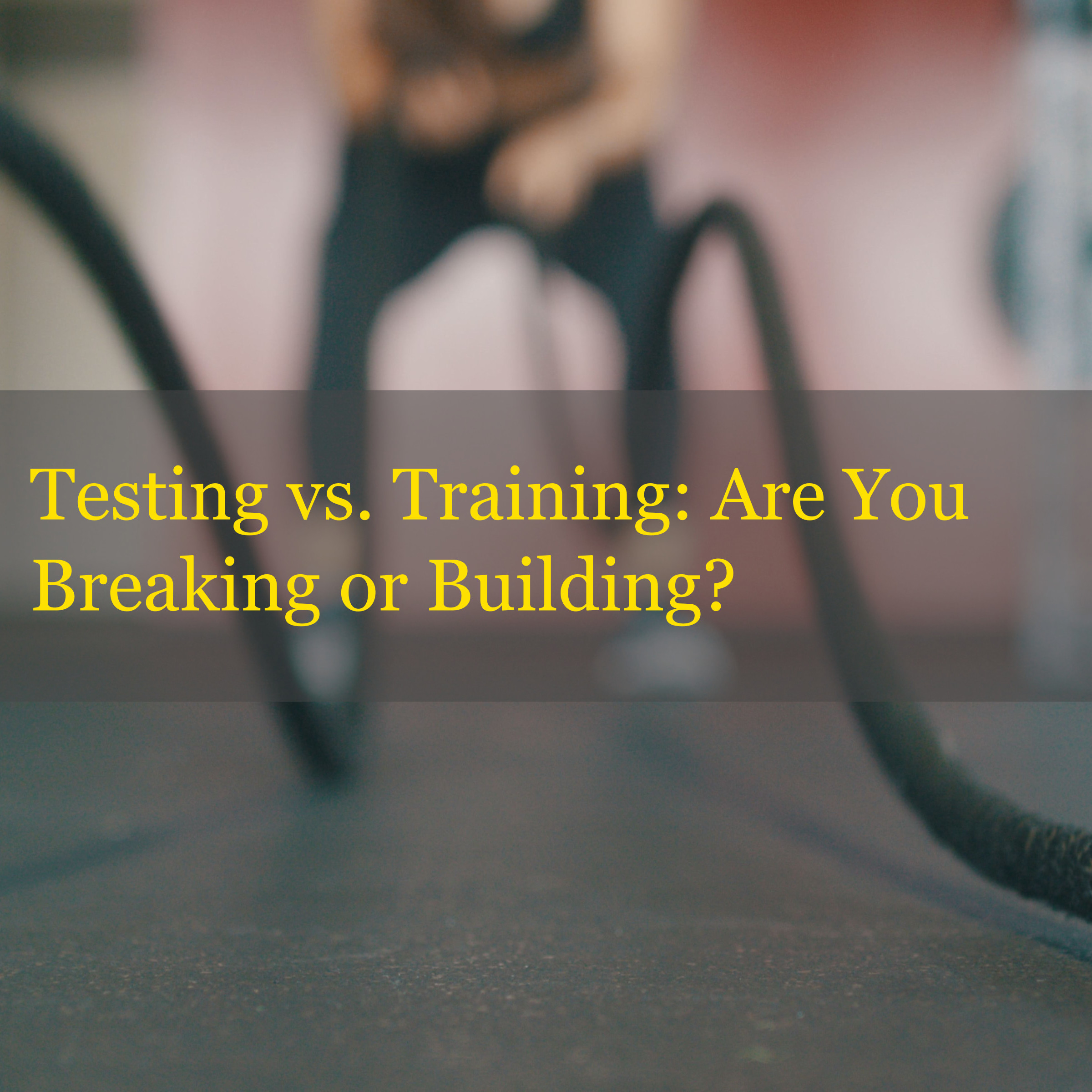 Testing vs. Training: Are You Breaking or Building?